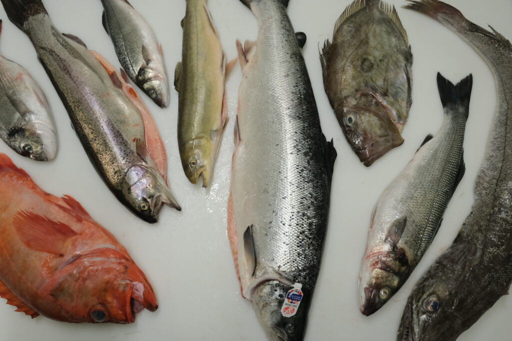nos poissons et produits de la mer