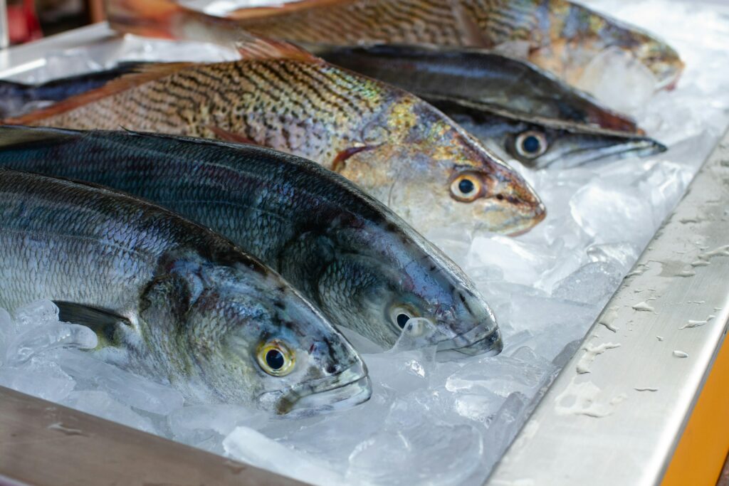 du poisson frais livré aux restaurateurs en Alsace