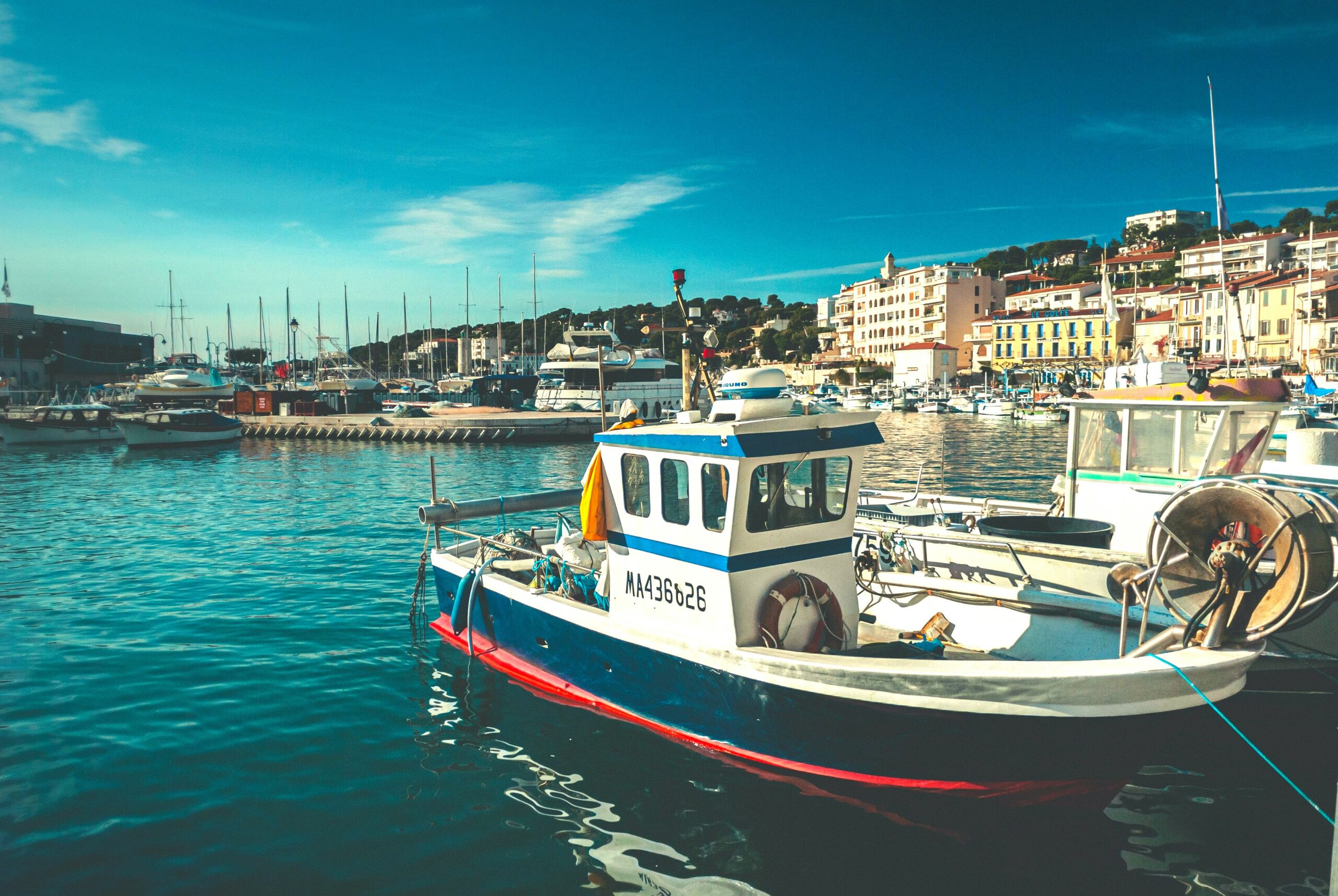 Des arrivages quotidiens depuis les ports français
