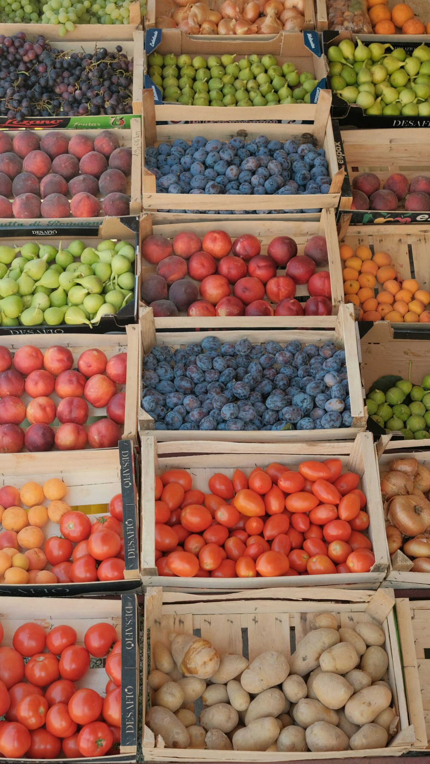 Un approvisionnement local quand la saison le permet en fruits frais